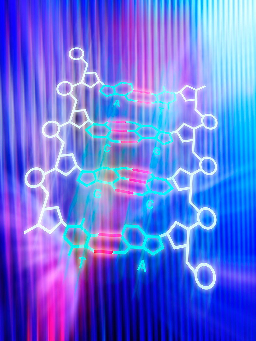 xDNA molecule