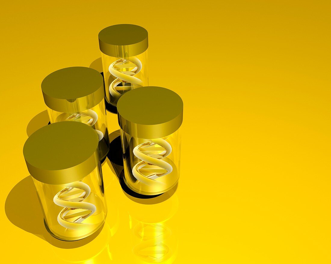 Designer DNA in bottles,artwork