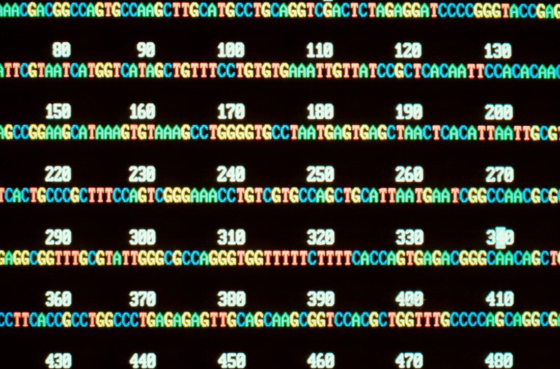 Mapping the human genome