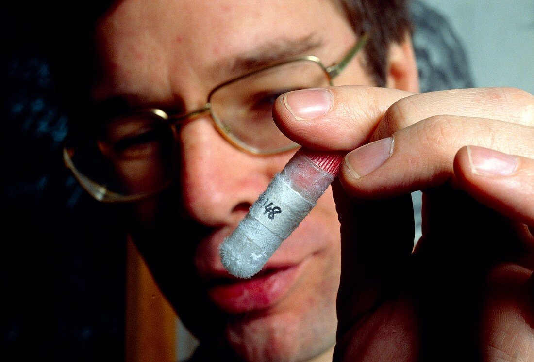 Dr. Jonathan Hodgkin holding a frozen worm sample