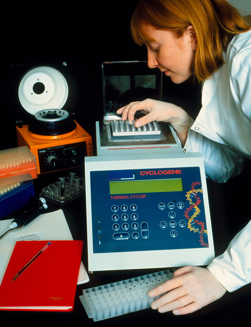 Researcher using PCR equipment to clone DNA