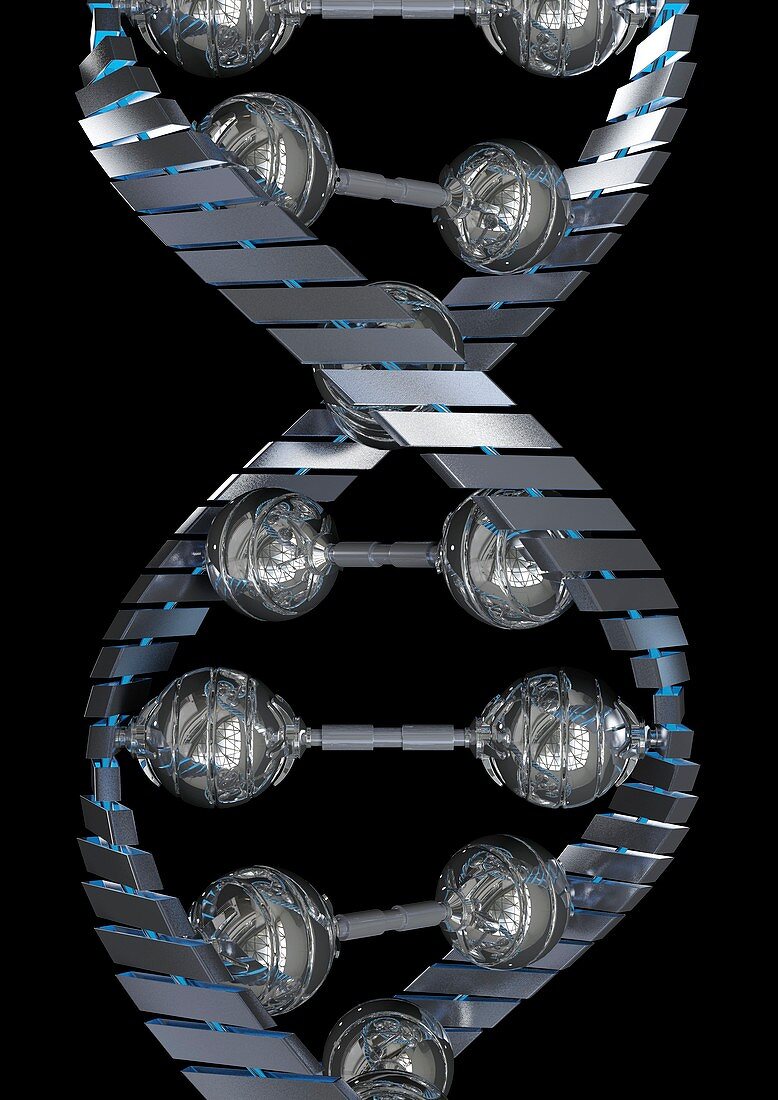 DNA molecule,computer artwork