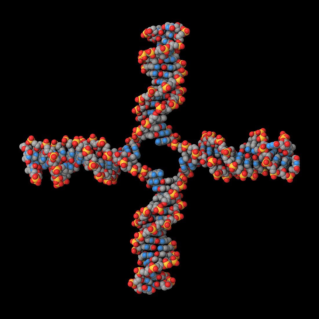 DNA recombination,molecular model