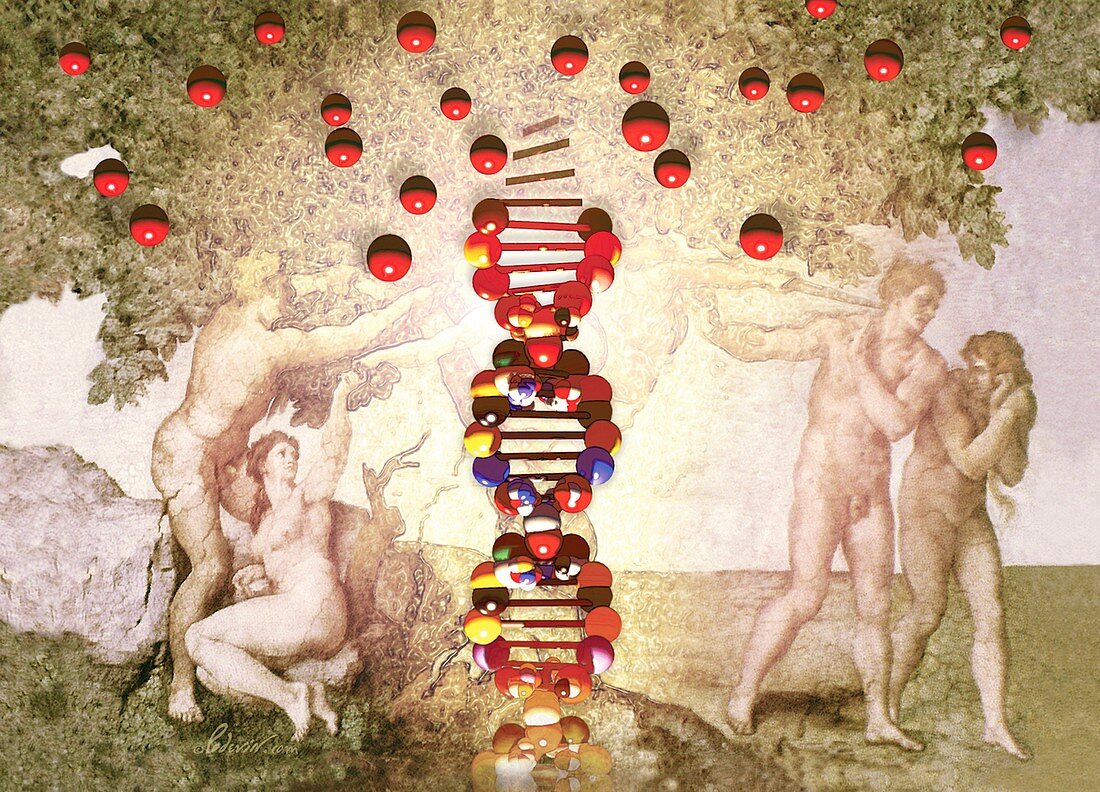 DNA as the Tree of Knowledge,artwork