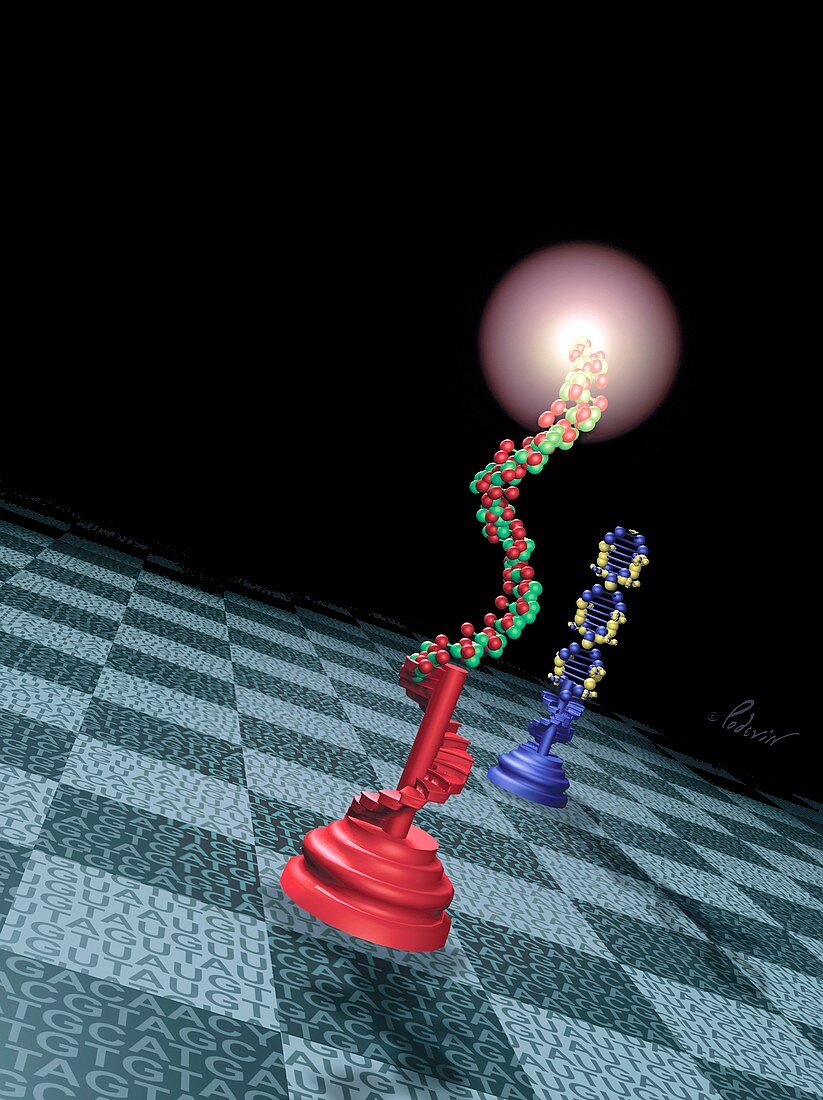 RNA and DNA,conceptual artwork