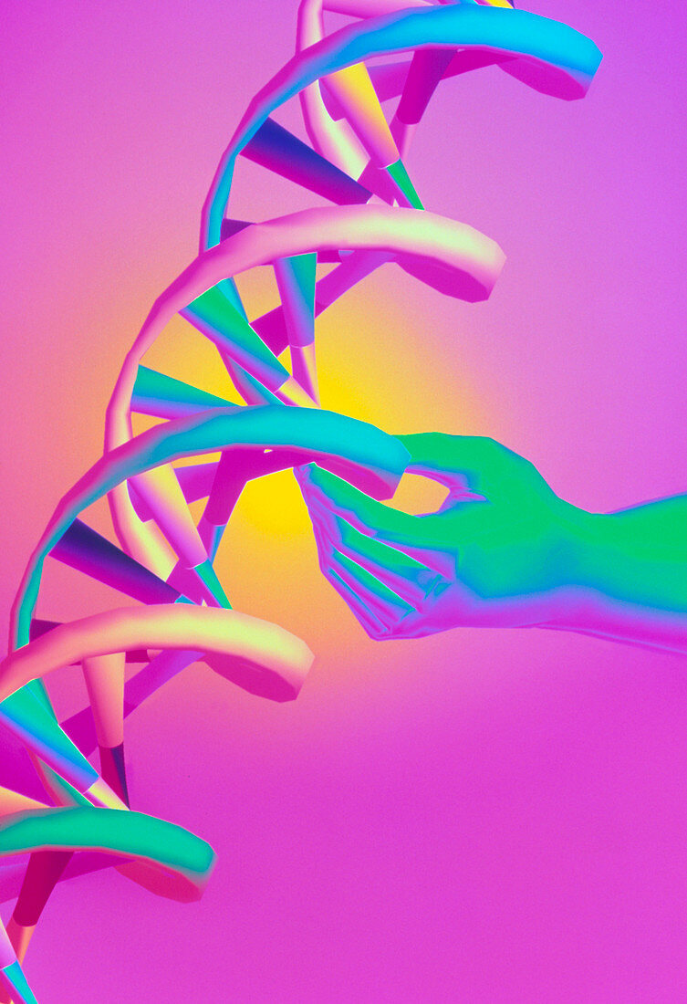 DNA manipulation