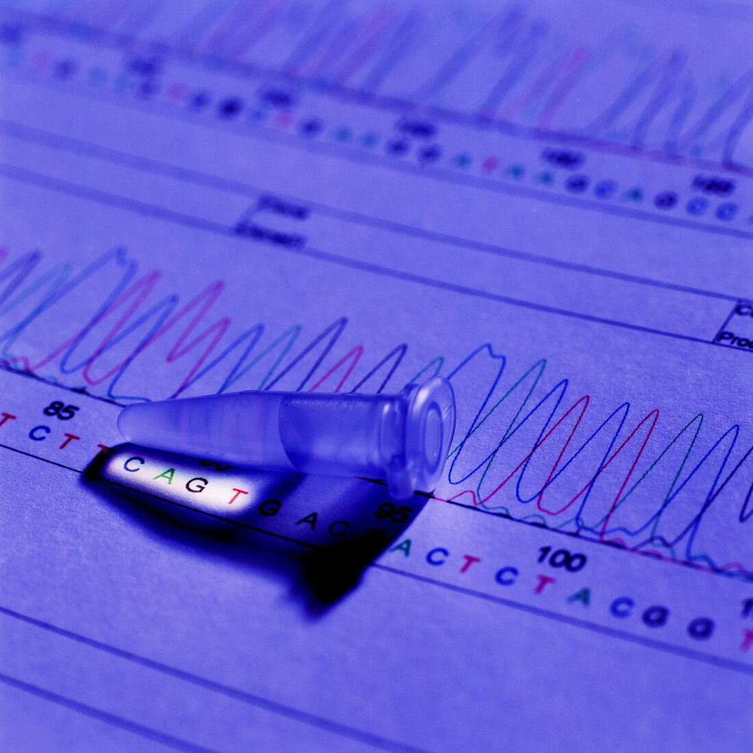 DNA analysis