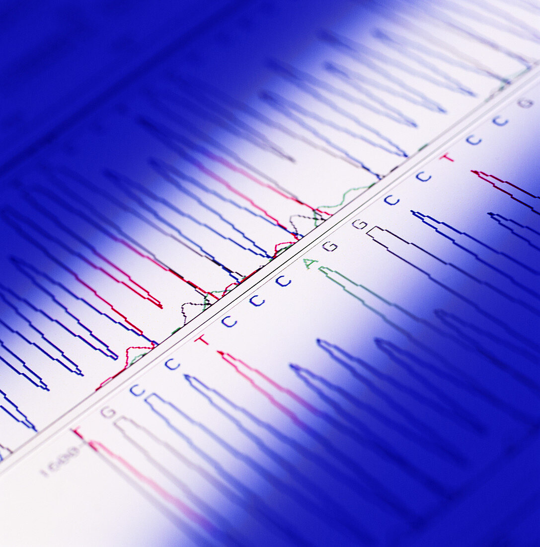 DNA analysis