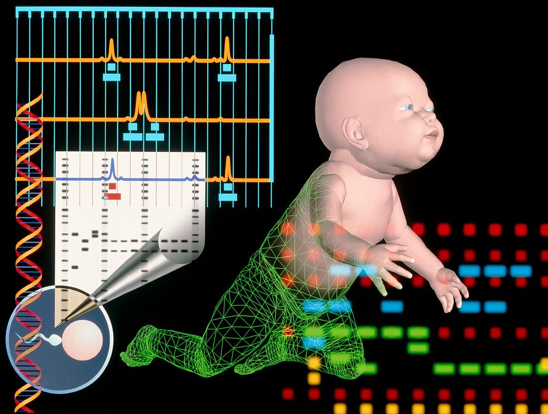 Computer artwork depicting baby's paternity test