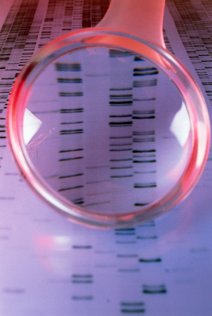 DNA sequence magnified by a magnifying glass