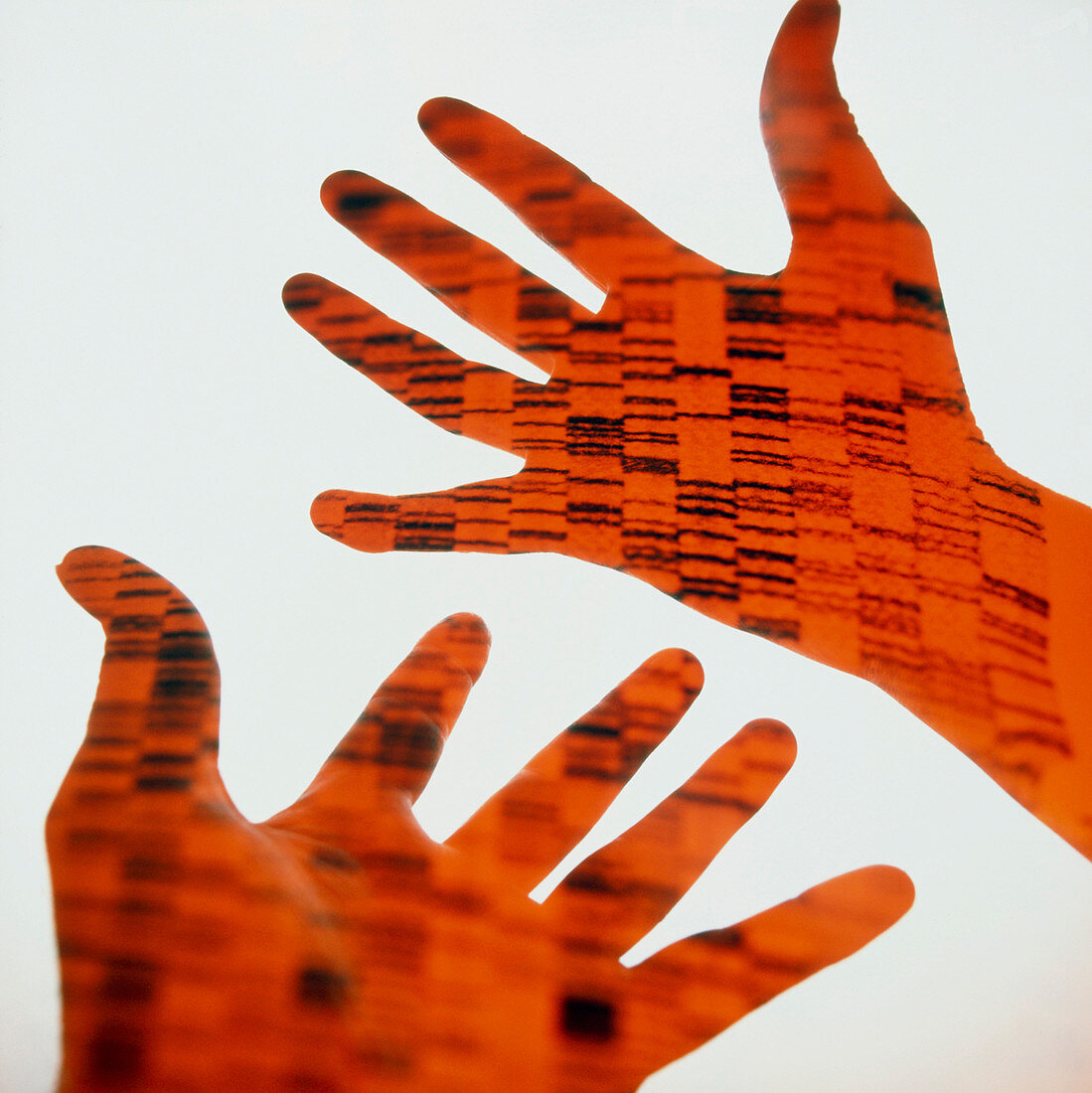 Radiogram of DNA on hands