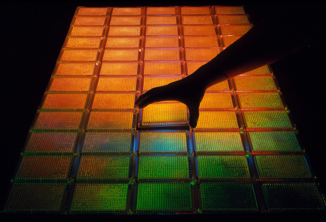 Tray containing DNA from human genome