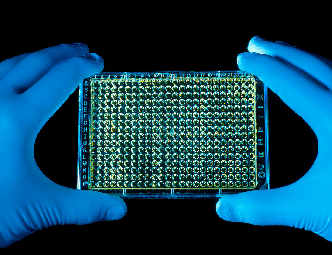 Hands holding tray containing human genome DNA