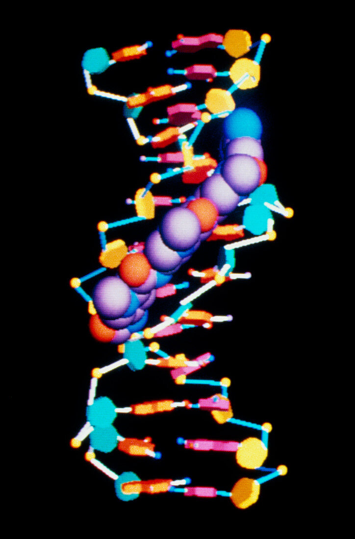 Anti-cancer drug on DNA
