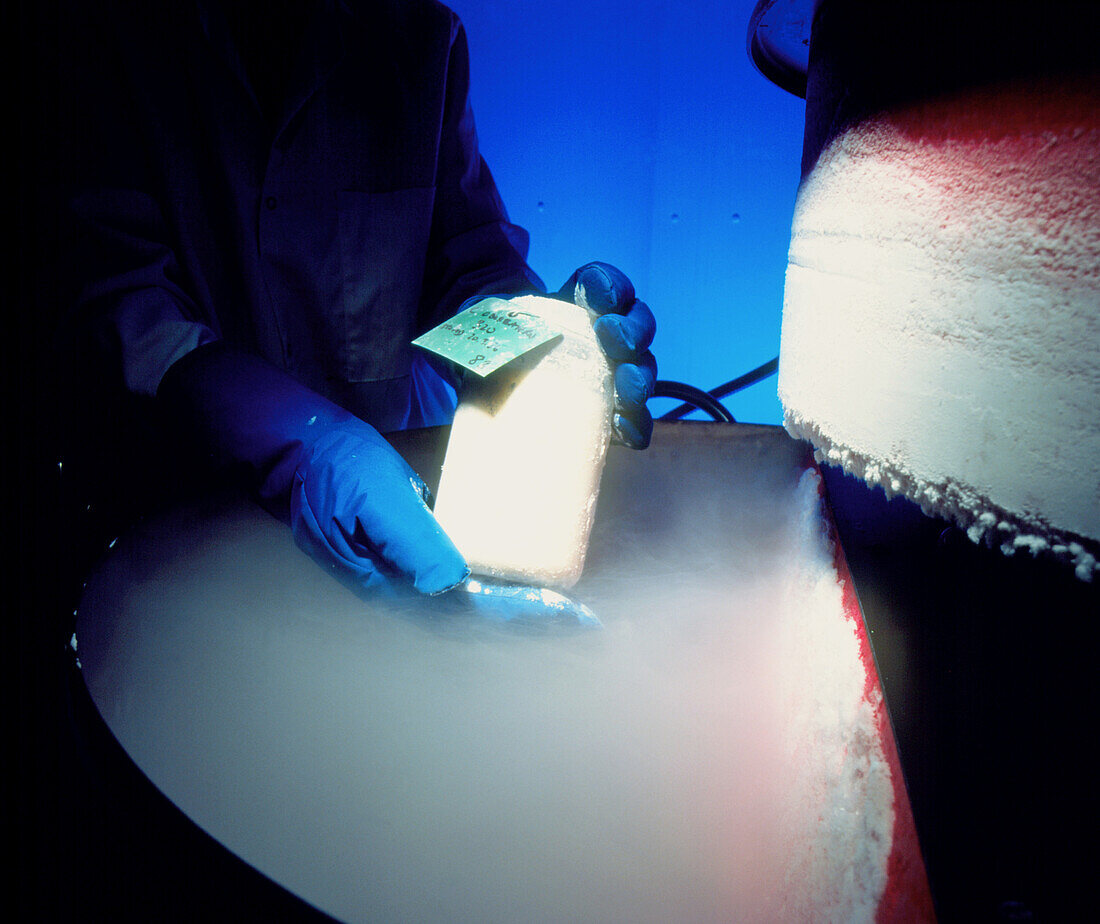 Technician removes antigen sample from cryostorage