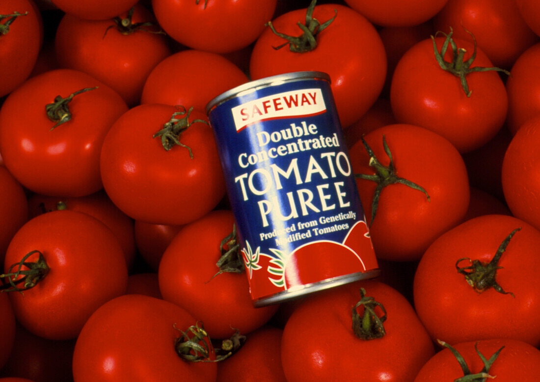 Puree made from genetically-engineered tomatoes