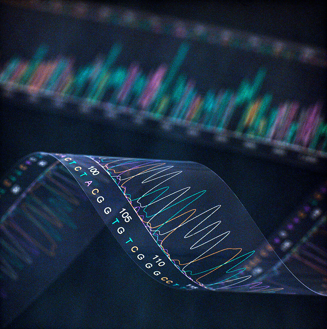 DNA analysis