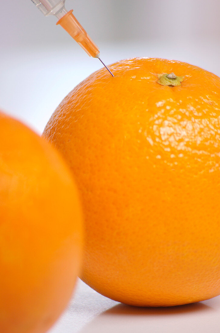 Genetic modification of oranges
