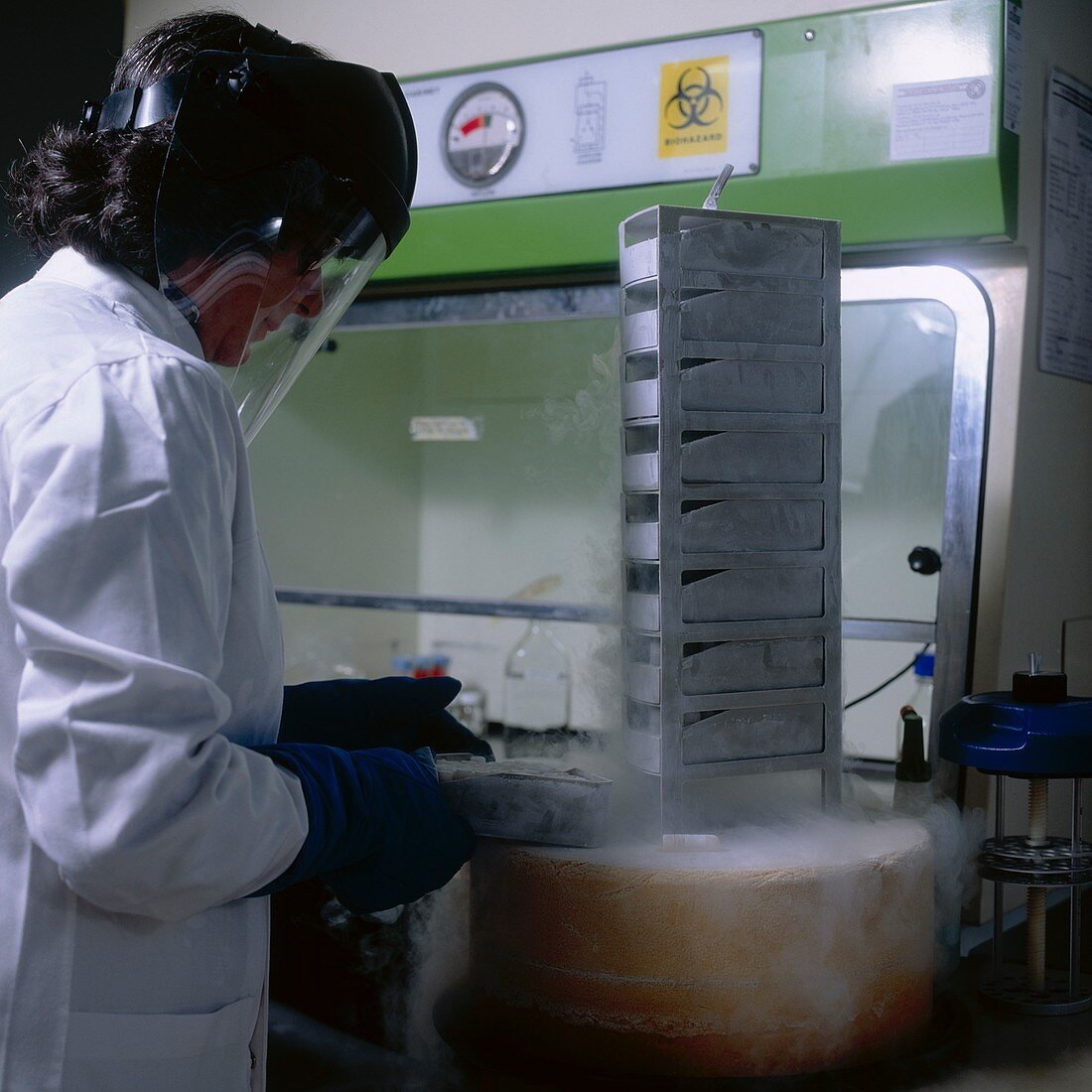 Tissue culture stored in liquid nitrogen