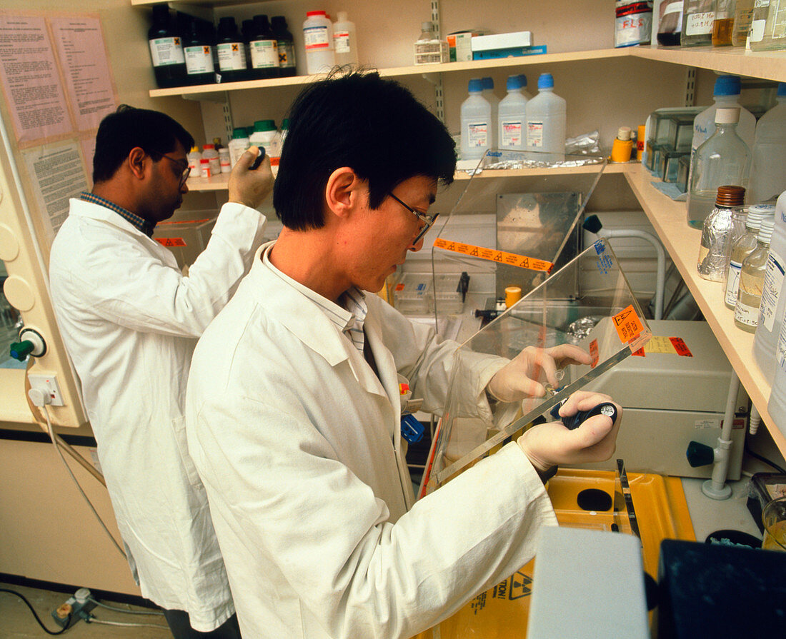 Scientists research allergies in immunology lab