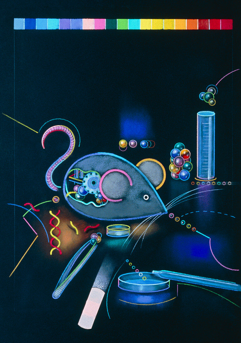 Artwork of a genetically-engineered mouse