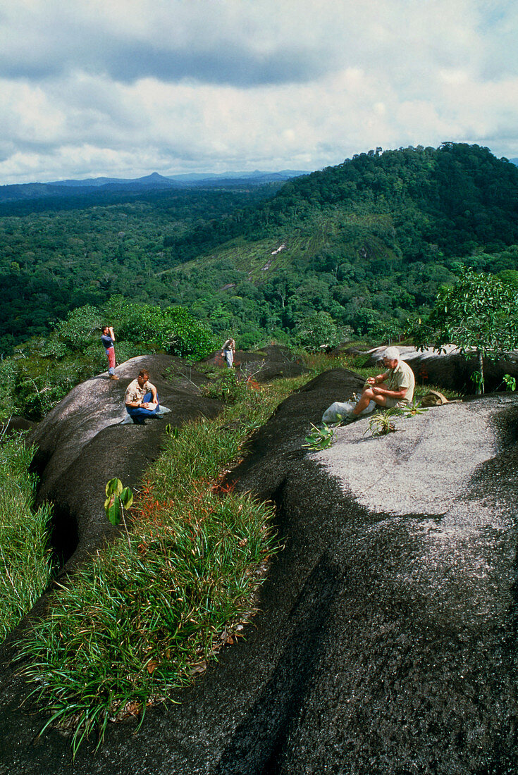 Botanists collecting plant specimens in Guyana