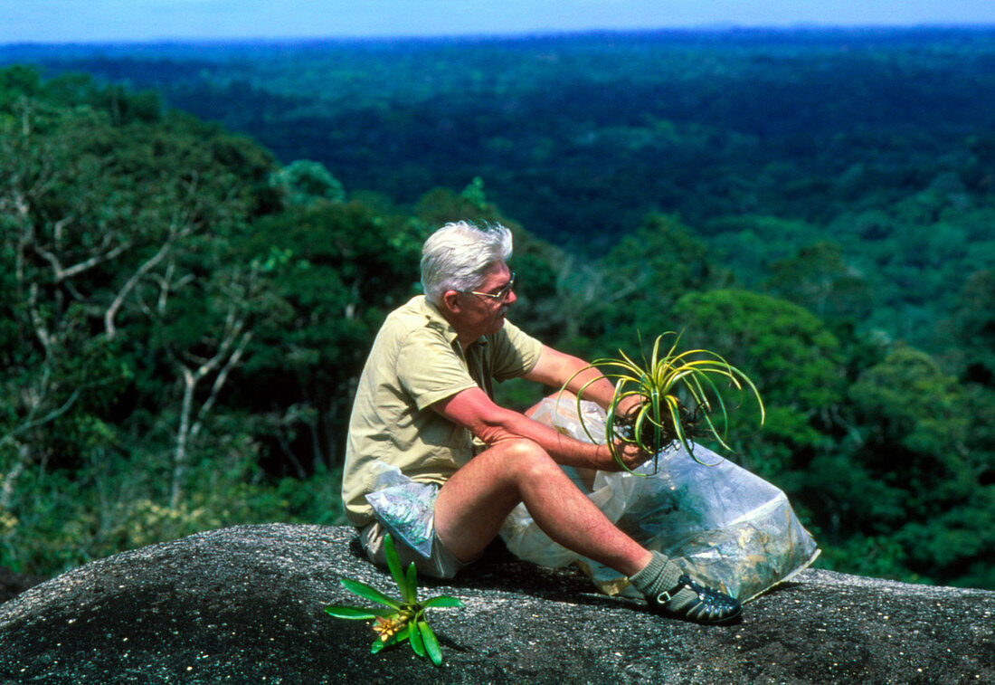 Botanist collecting plant specimens in Guyana