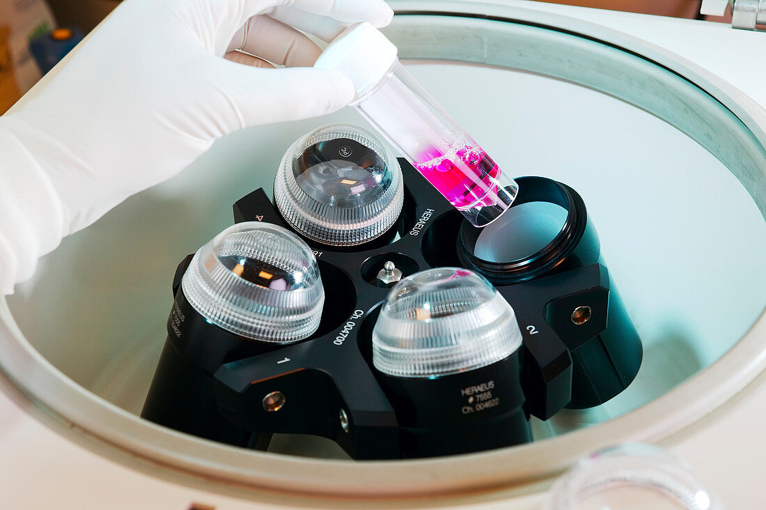 Cell culture research,centrifuge
