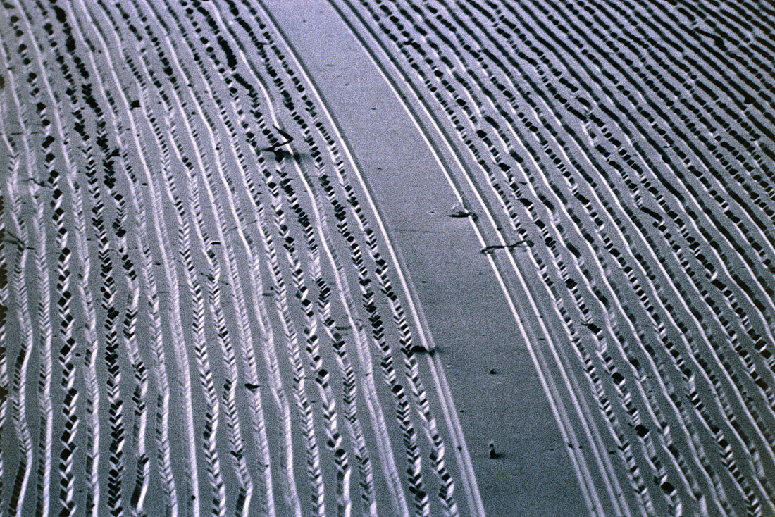 SEM of grooves in LP record