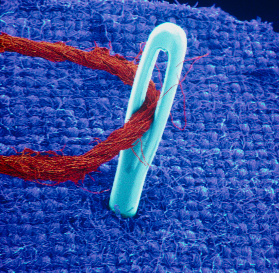 Coloured SEM of threaded needle in fabric