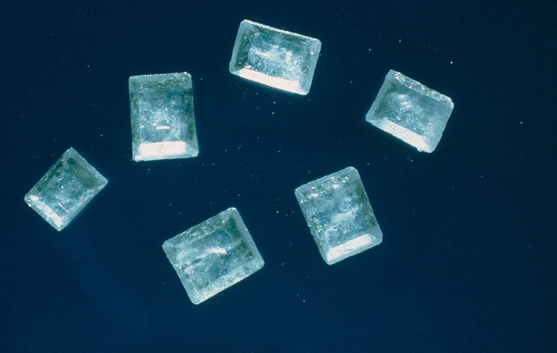 Light micrograph of sugar crystals