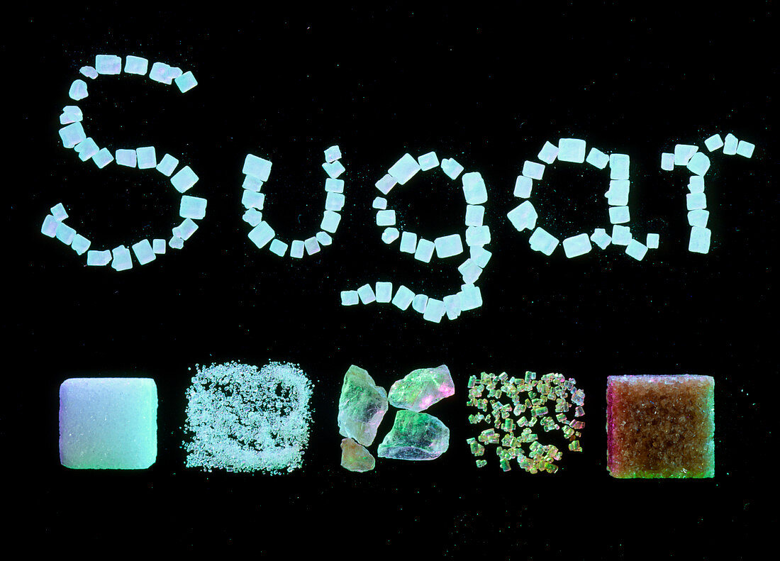 Selection of different types of sugar crystals