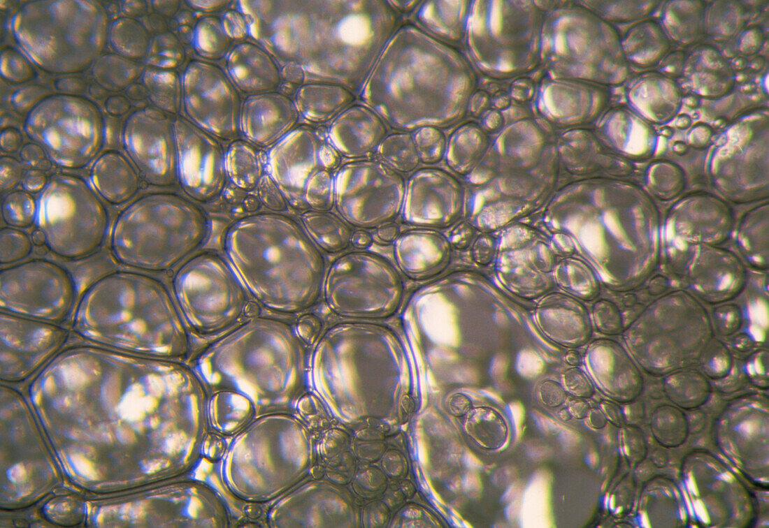 Macrophotograph of air bubbles in beaten egg white