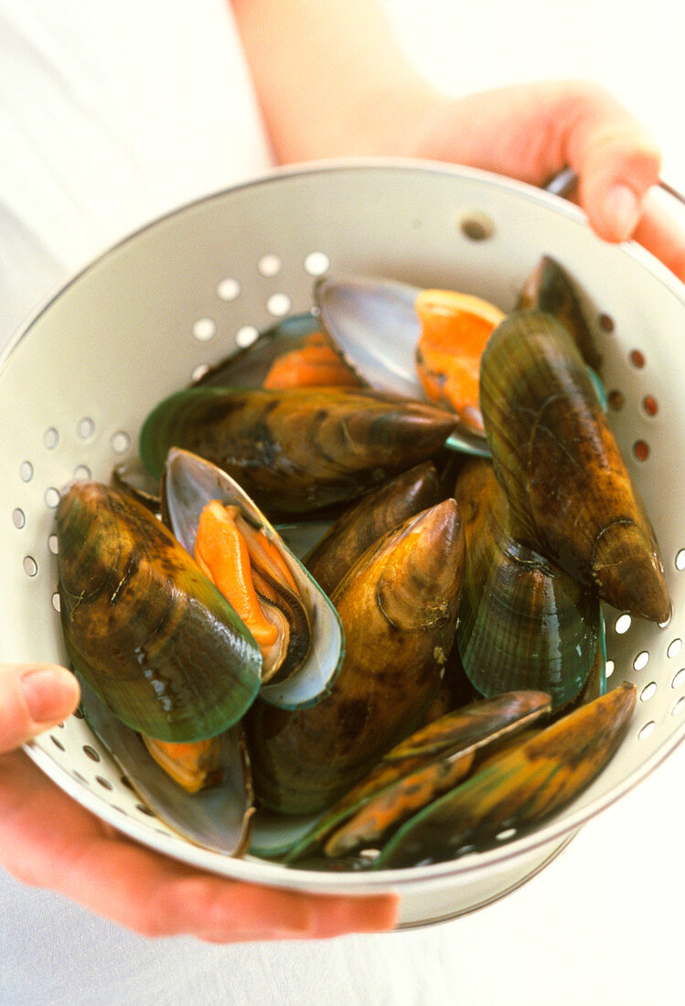 Green lip mussels