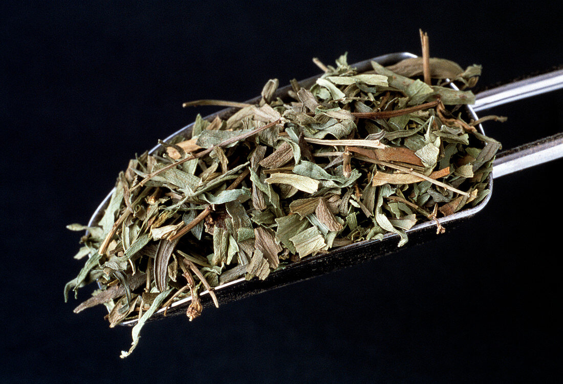 Dried tarragon