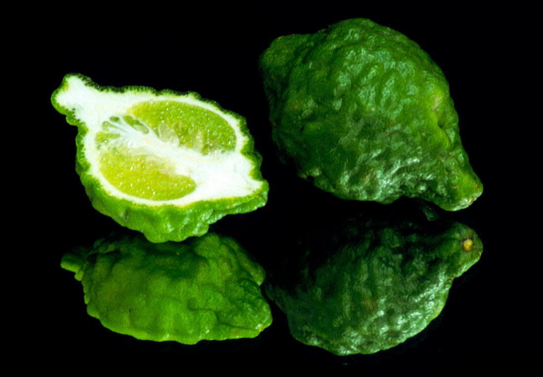 Bergamot lemons