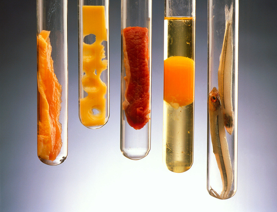 Fat-rich foods presented in test tubes