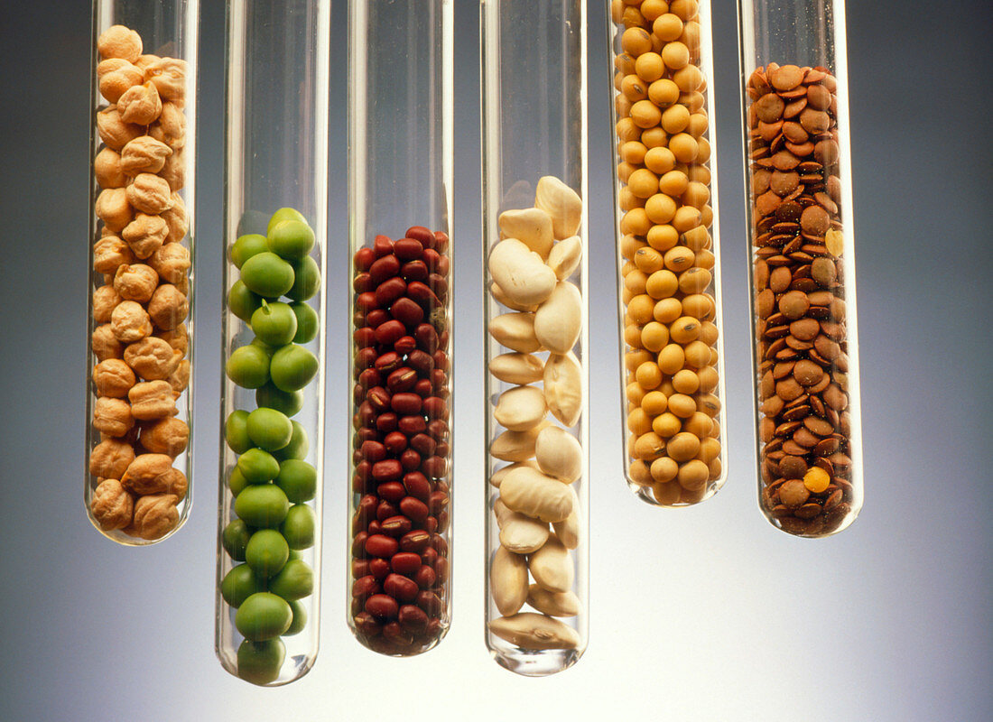 Selection of pulses presented in test tubes