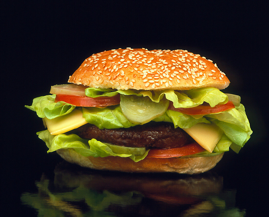Cheeseburger with lettuce,tomatoes and gherkins