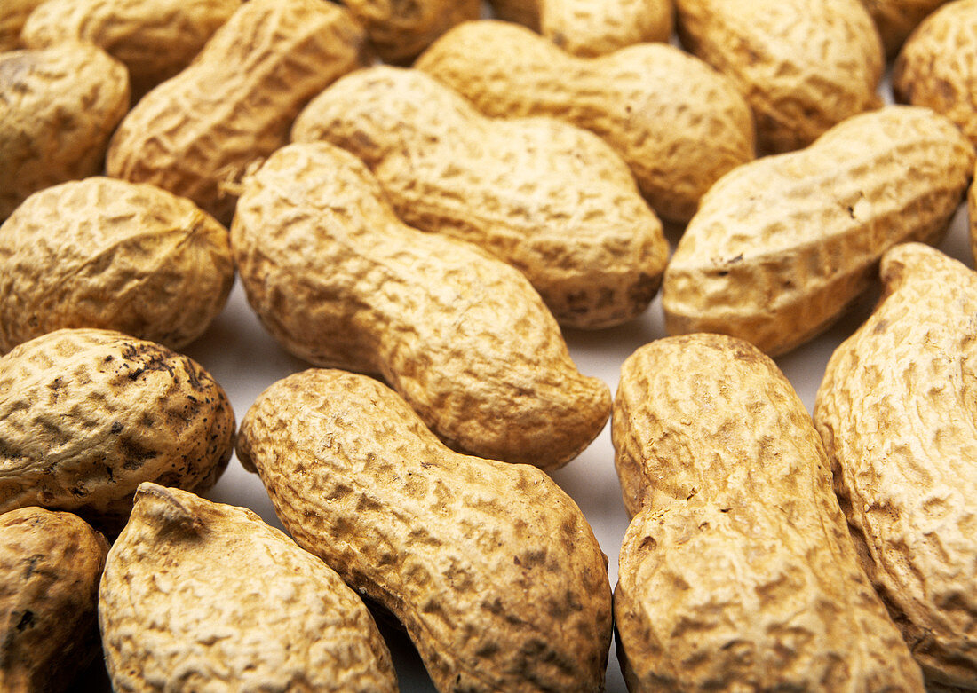 Unshelled peanuts