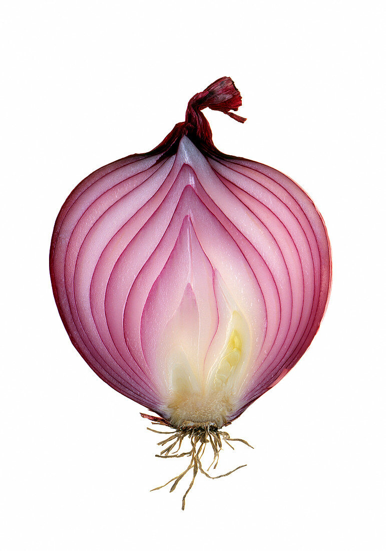 Halved red onion