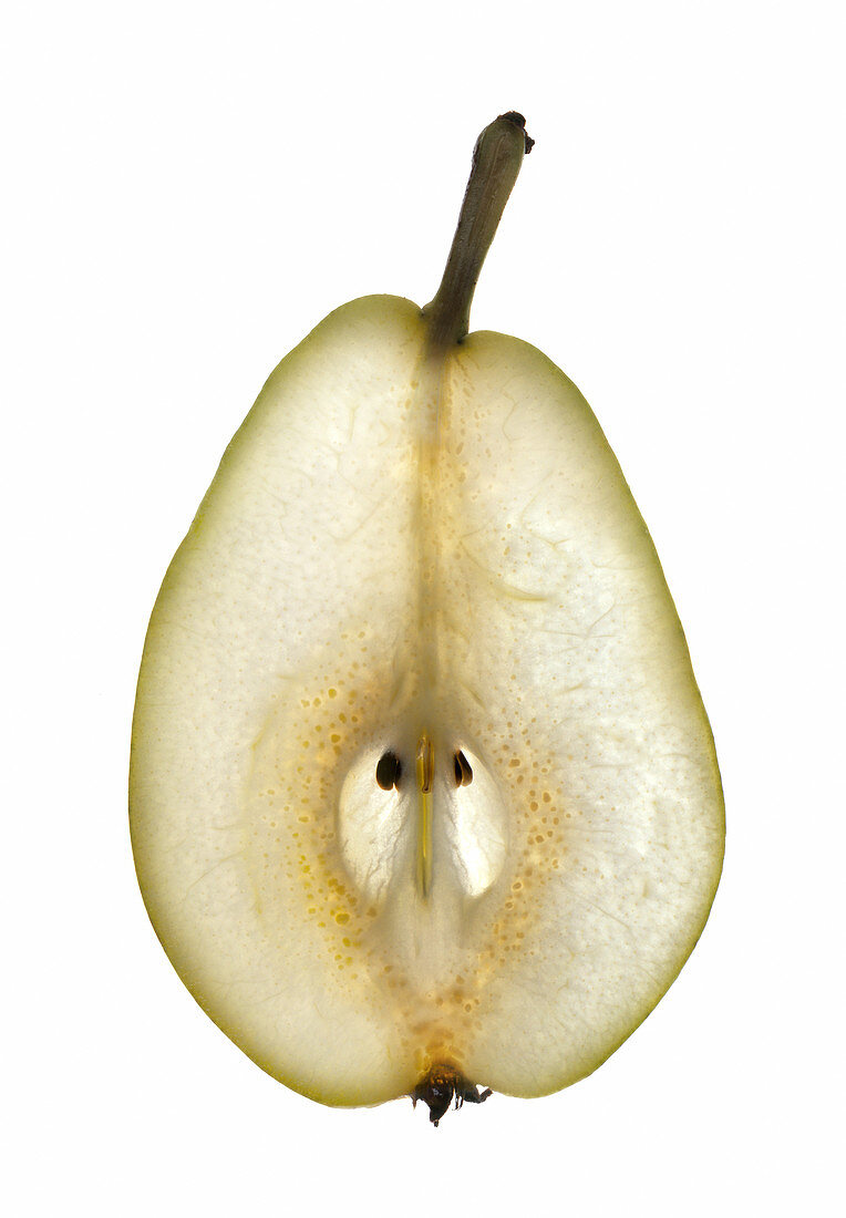 Pear slice