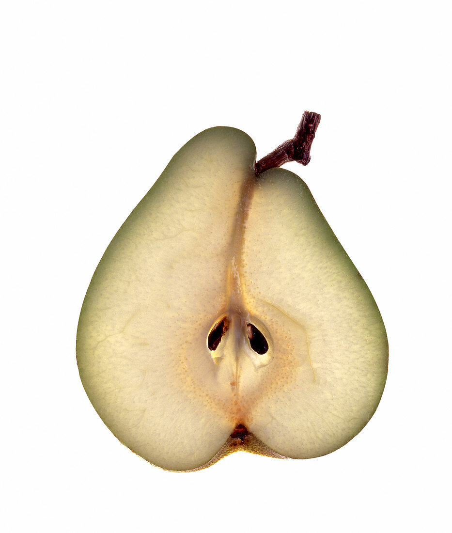 Pear slice