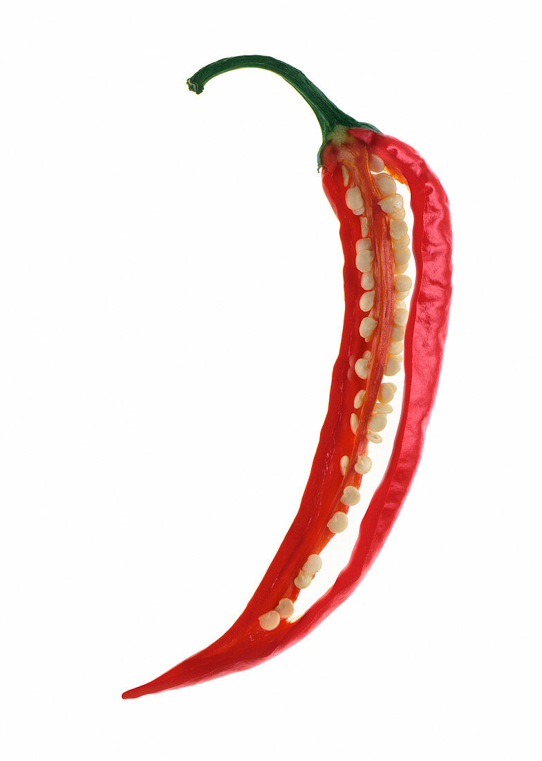 Chilli pepper slice