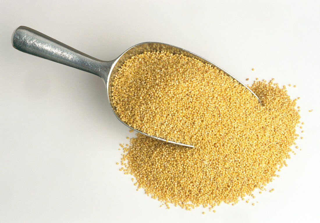 Millet grains