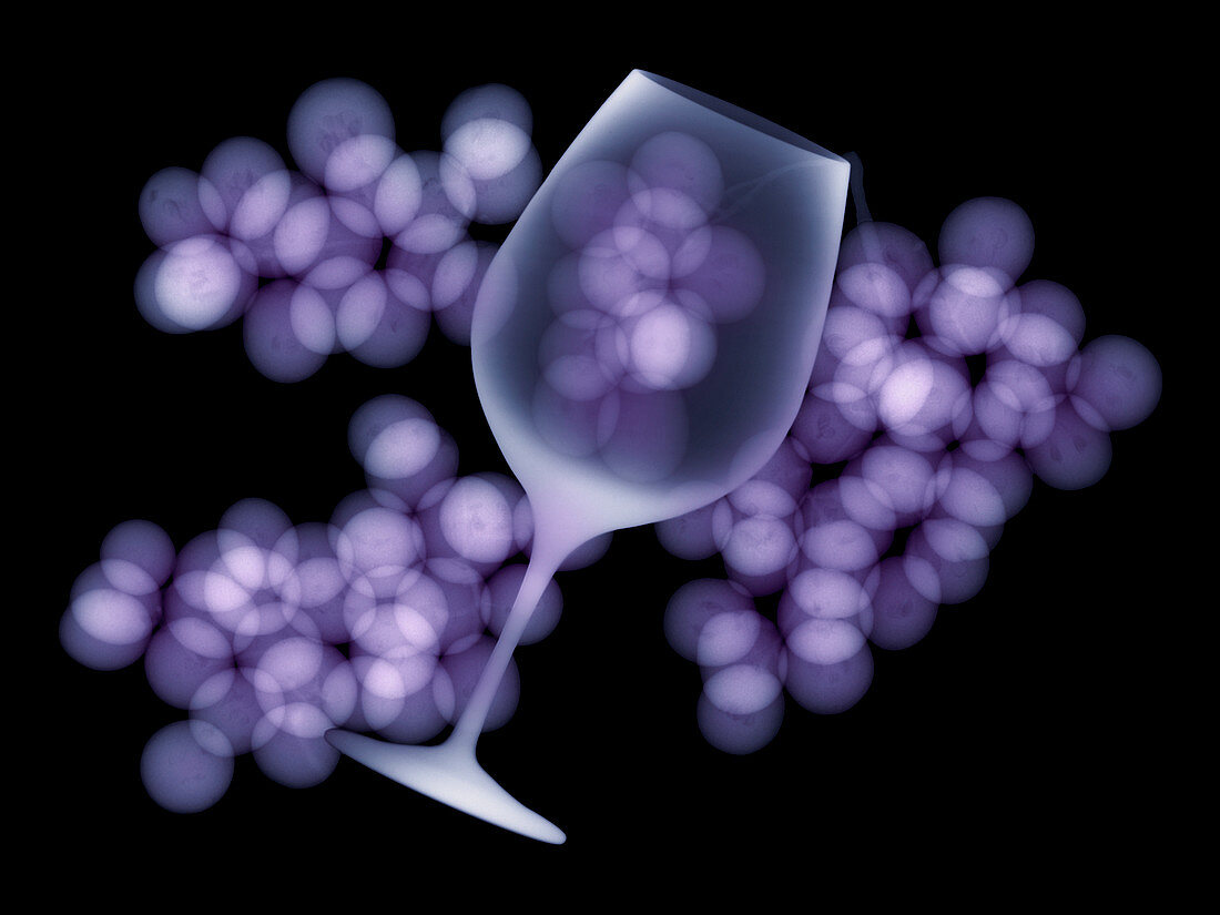 Wine glass and grapes,X-ray