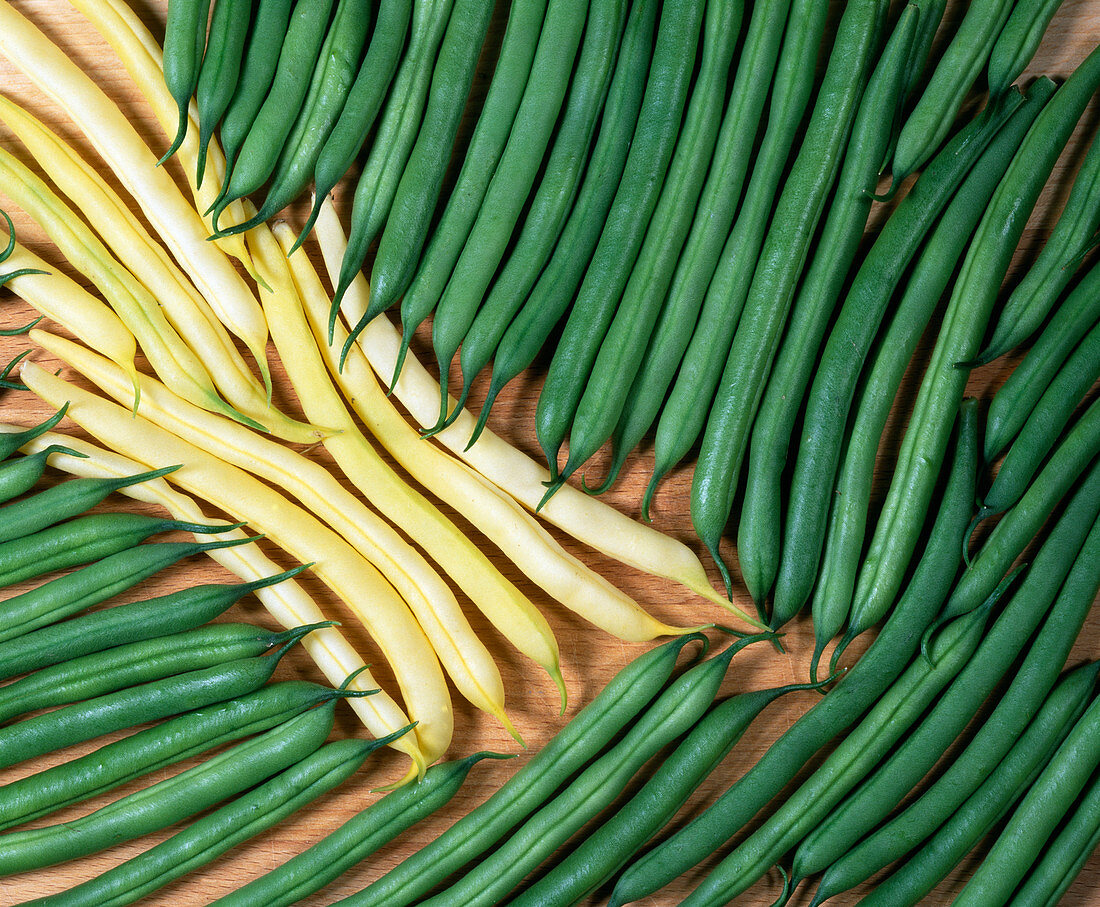 Yellow and green beans