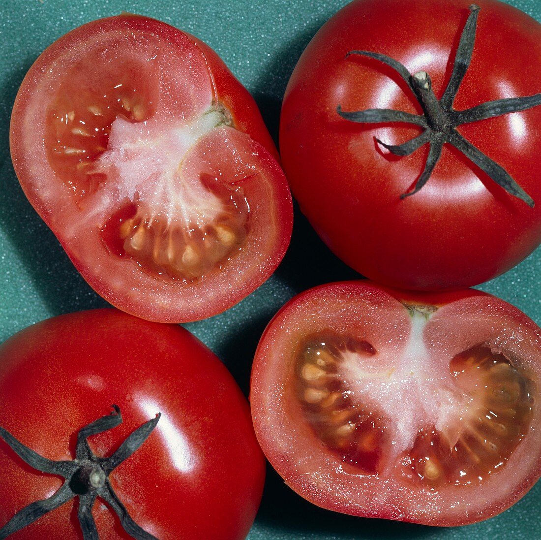 Tomatoes cut open