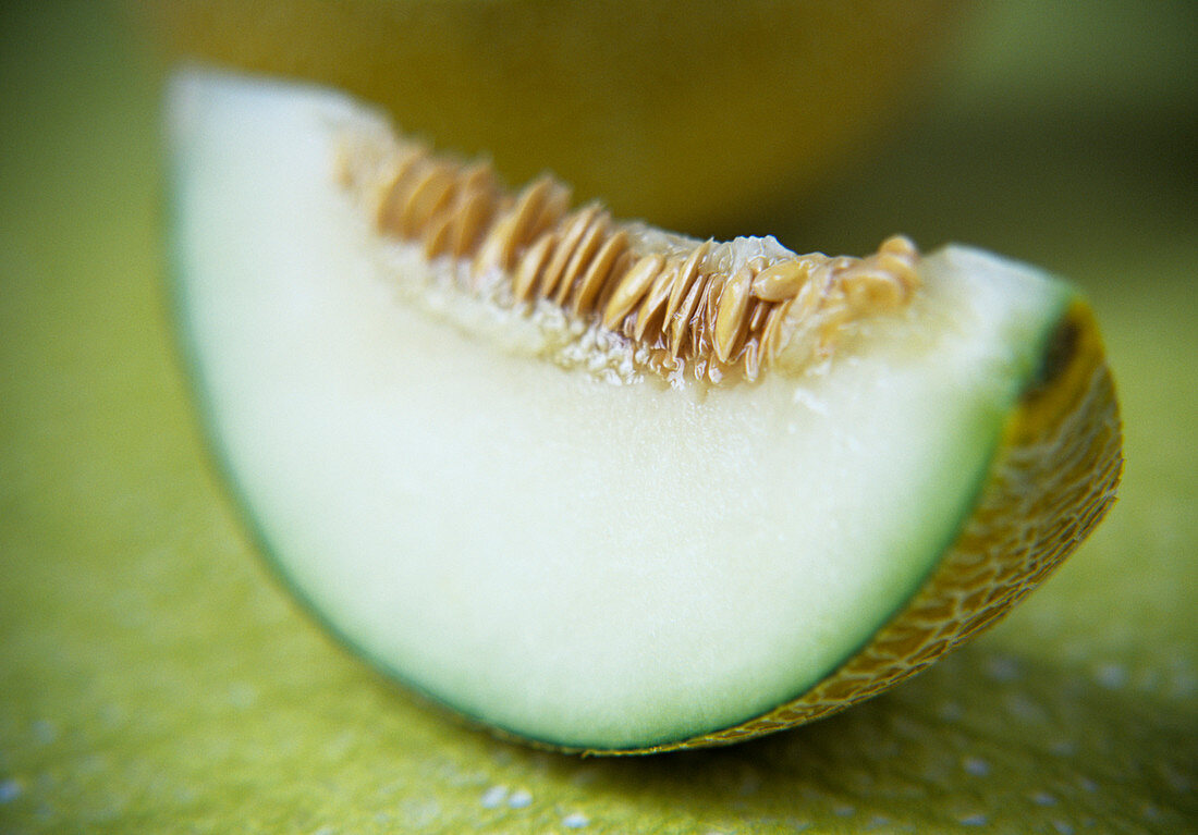 Melon slice