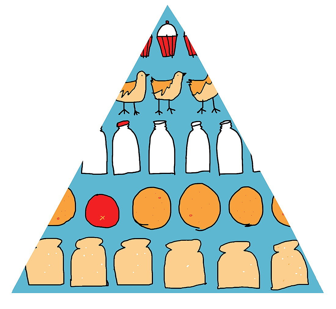 Food pyramid